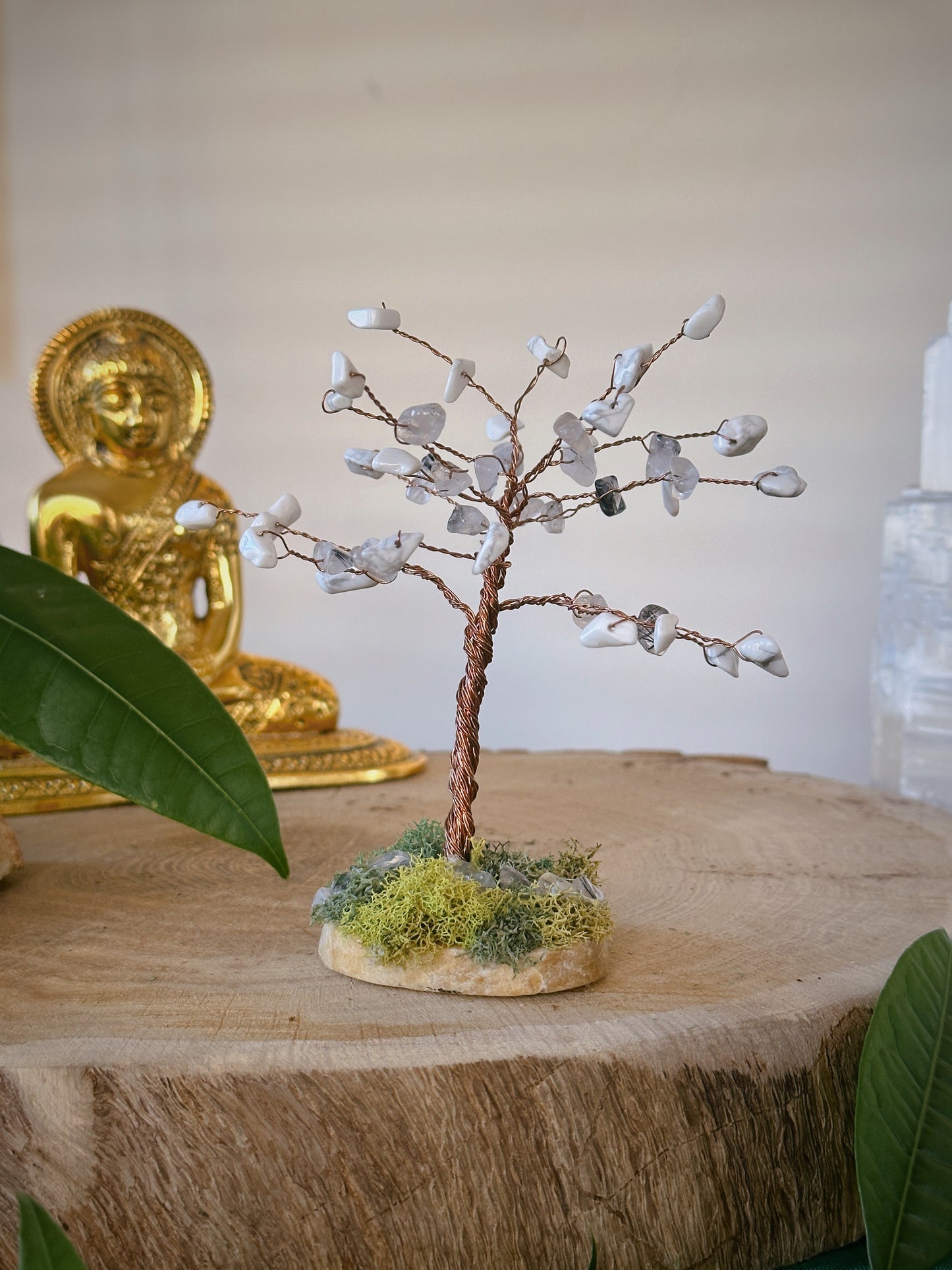 Enhance Intuition Tree of Life