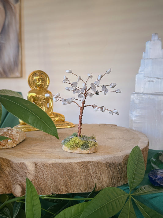 Enhance Intuition Tree of Life