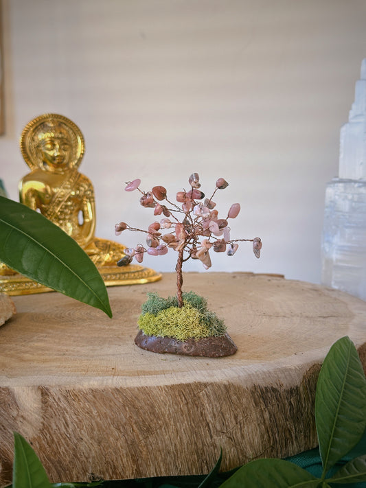 Love Energy Rhodochrosite Tree of Life