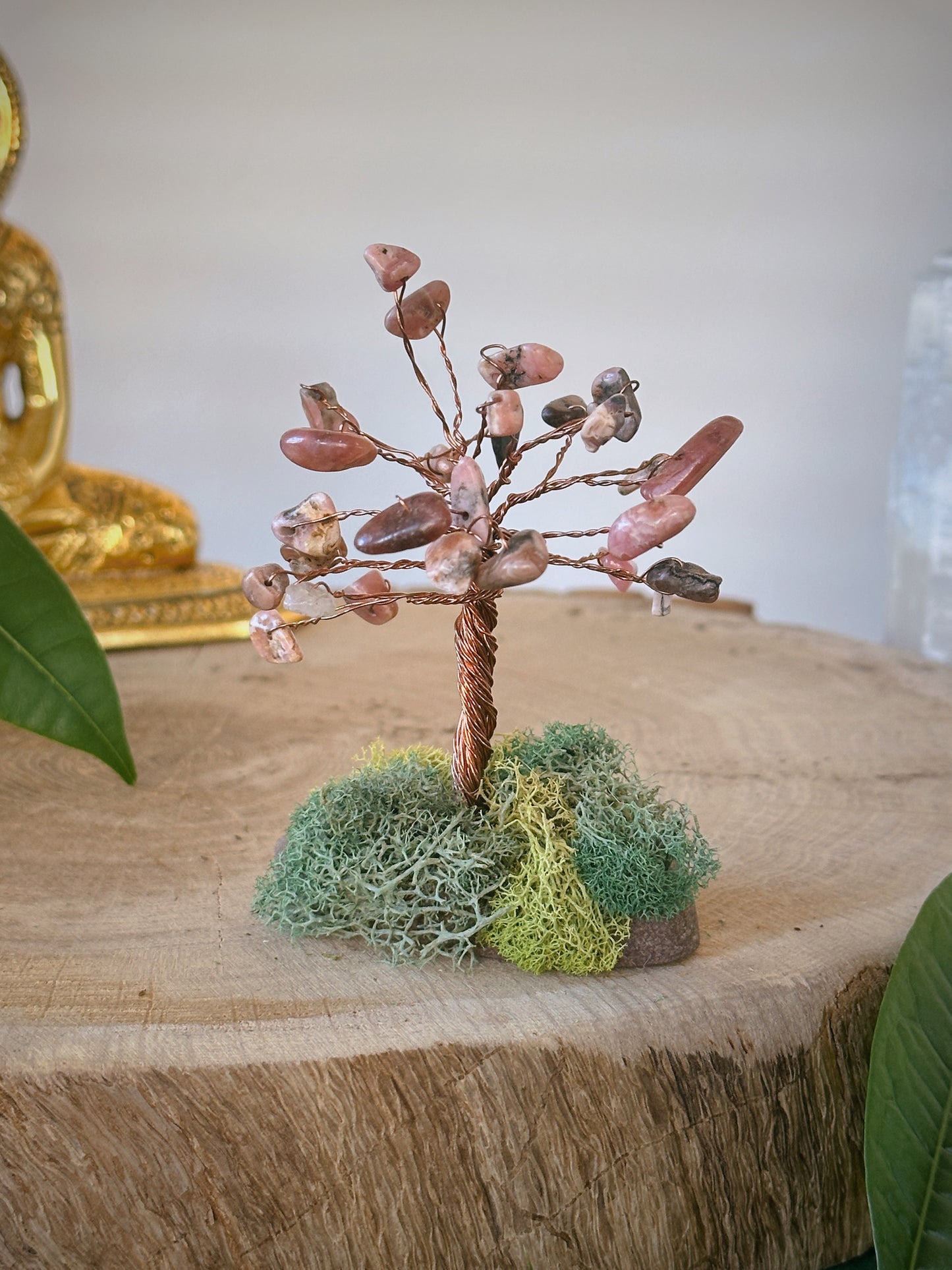 Love Energy Rhodochrosite Tree of Life