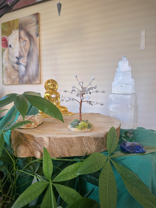 Enhance Intuition Tree of Life